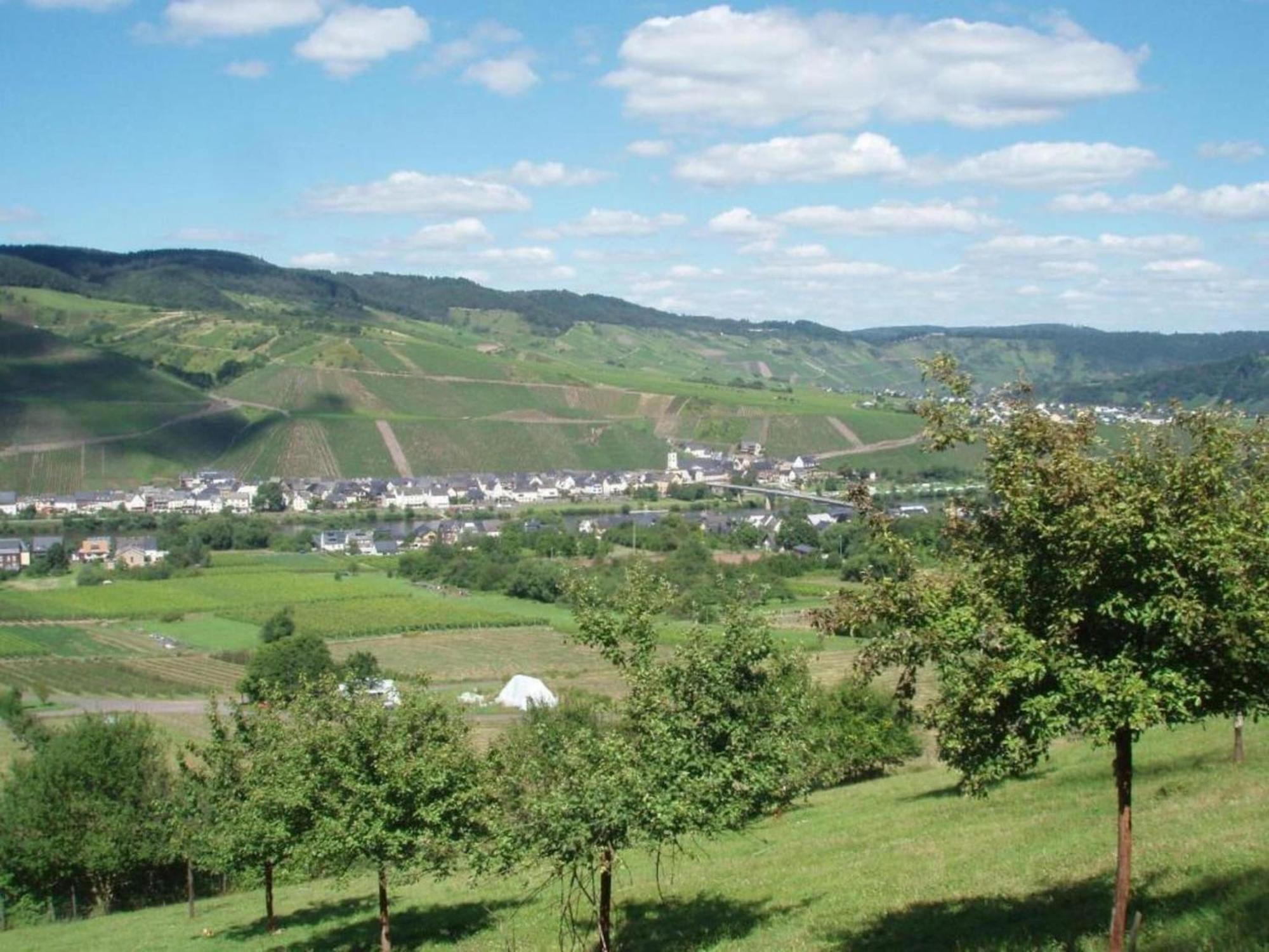 Sch Ne Wohnung In Der Moselregion Kinheim Ngoại thất bức ảnh